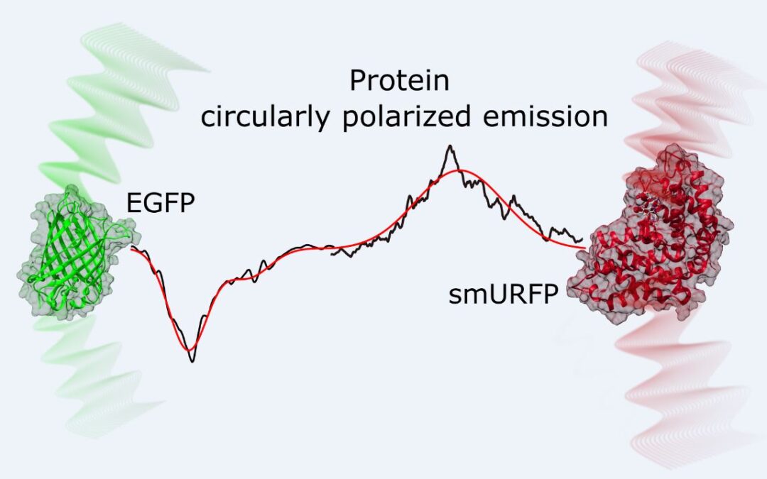 Simple Encoded Circularly Polarized Protein Lighting!
